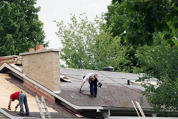 Best Roof Gutter Cleaning  in South Riding, VA